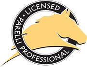 Logo Parelli Professional