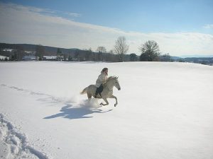 Gaby Rass-Hubinek Horsewomanship