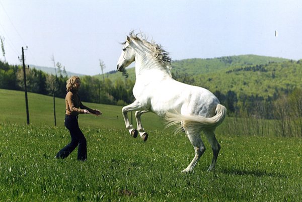 Gaby Rass-Hubinek Horsewomanship