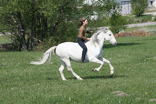 Gaby Rass-Hubinek Horsewomanship