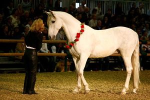 Gaby Rass-Hubinek Horsewomanship