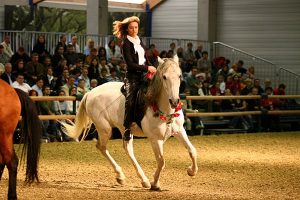 Gaby Rass-Hubinek Horsewomanship