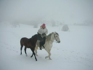 Gaby Rass-Hubinek Horsewomanship