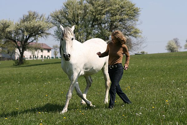 Gaby Rass-Hubinek Horsewomanship
