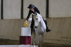 Horsewomanship Gabriele Rass Hubinek