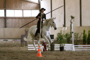 Horsewomanship Gabriele Rass Hubinek