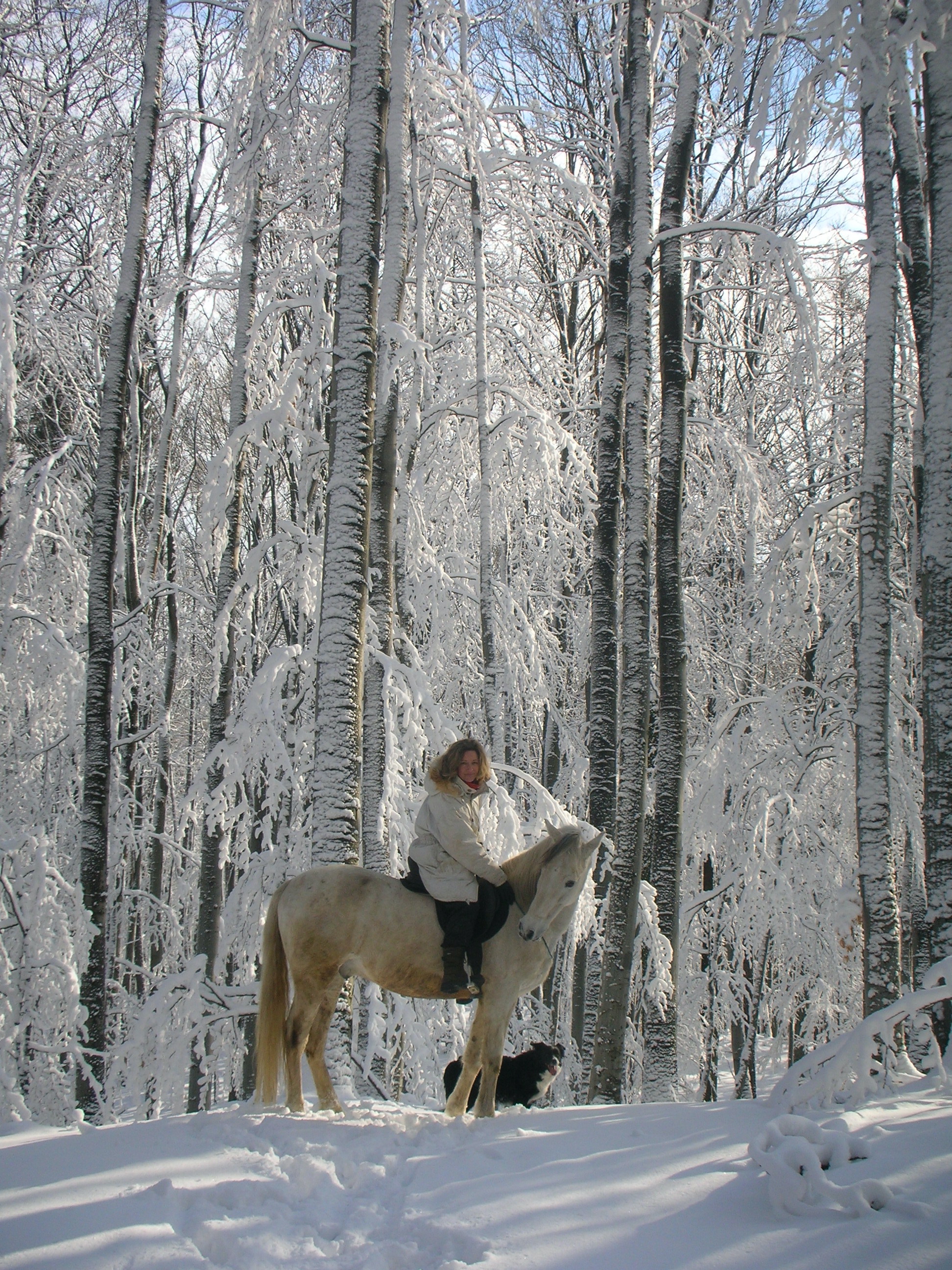 Horsewomanship Gabriele Rass Hubinek