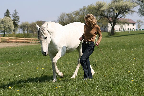 Gaby Rass-Hubinek Horsewomanship